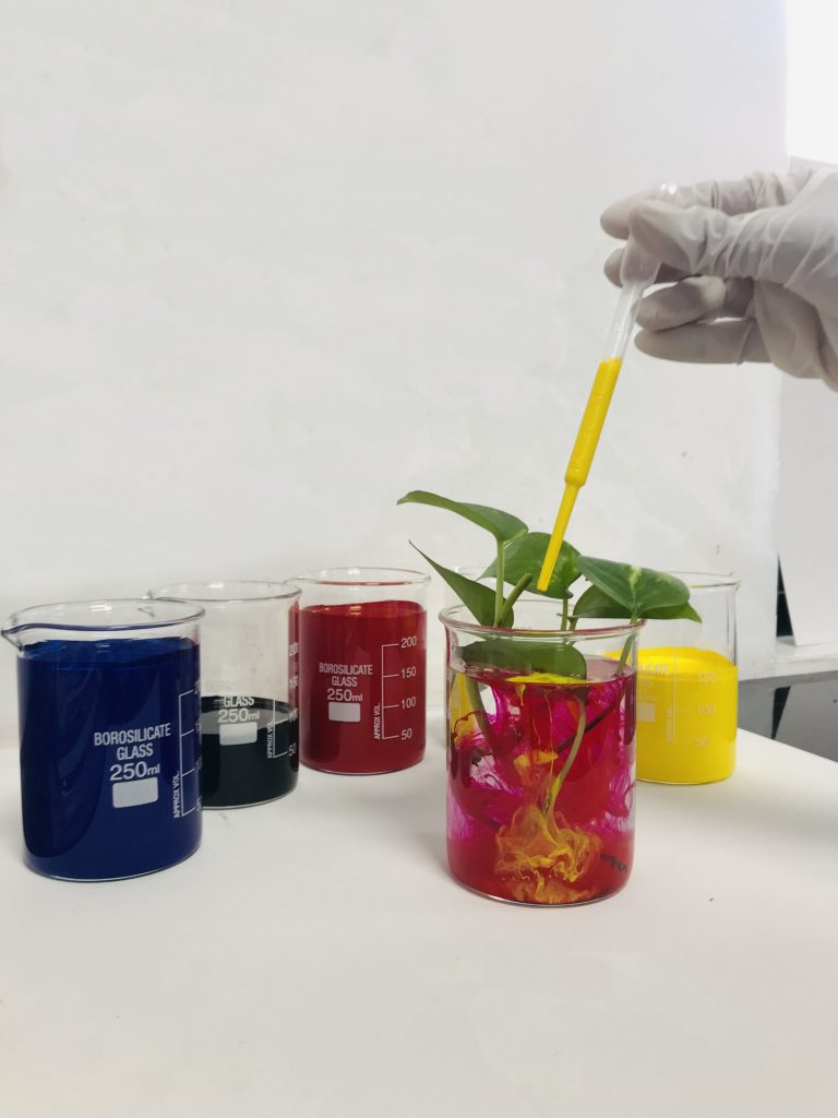 Research and Development